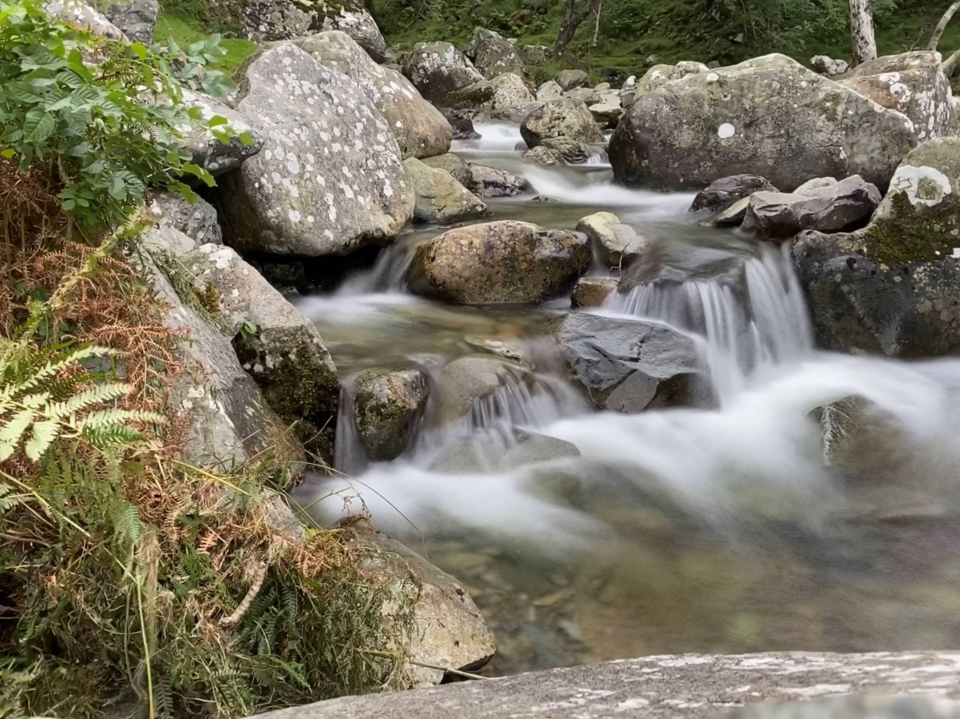 Picture of a stream