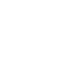 Xbox Logo